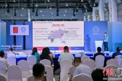中国企业“走出去”投资对接会举行 12国商务和投资官员推介